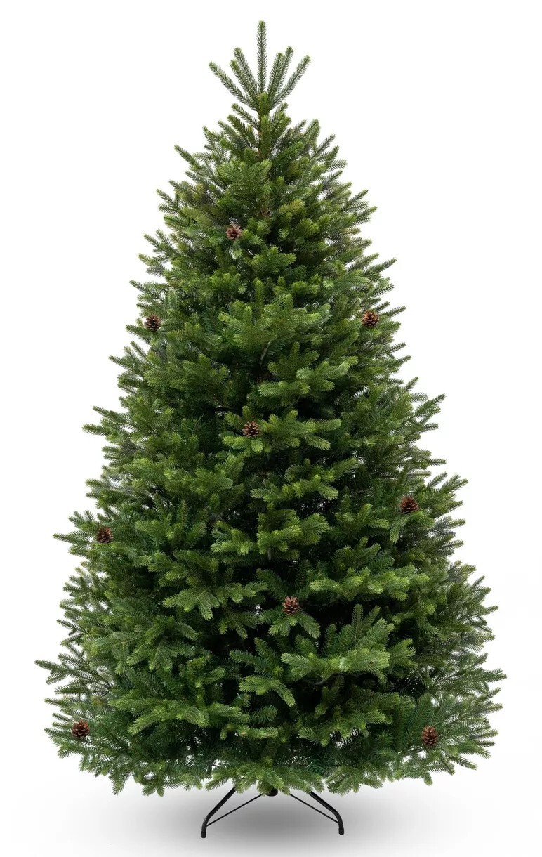 Choinki » Wysokość » od 170 do 190 cm