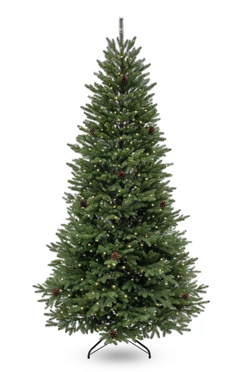Choinki » Wysokość » od 200 do 220 cm