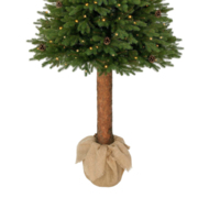 Świerk Ontario na pniu 100% PE LED 