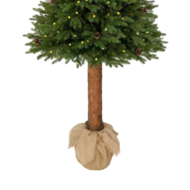 Świerk Ontario na pniu 100% PE LED 