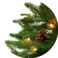 Świerk Ontario na pniu 100% PE LED 