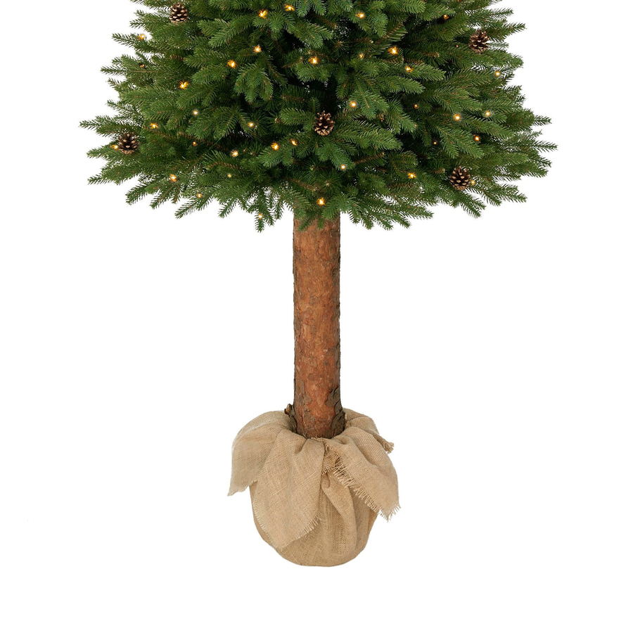 Świerk Ontario na pniu 100% PE LED 