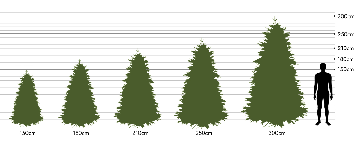 porownanie-rozmiarow.jpg (374 KB)