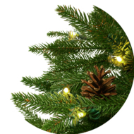 Świerk Ontario na pniu 100% PE LED