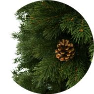 Sosna himalajska 100 % PE
